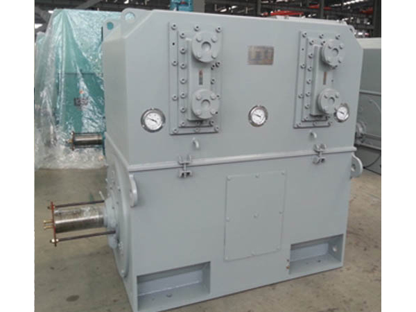 朝陽(yáng)Y, YKS, YKK 系列10kV (H355~630)中型高壓三相異步電動(dòng)機(jī)